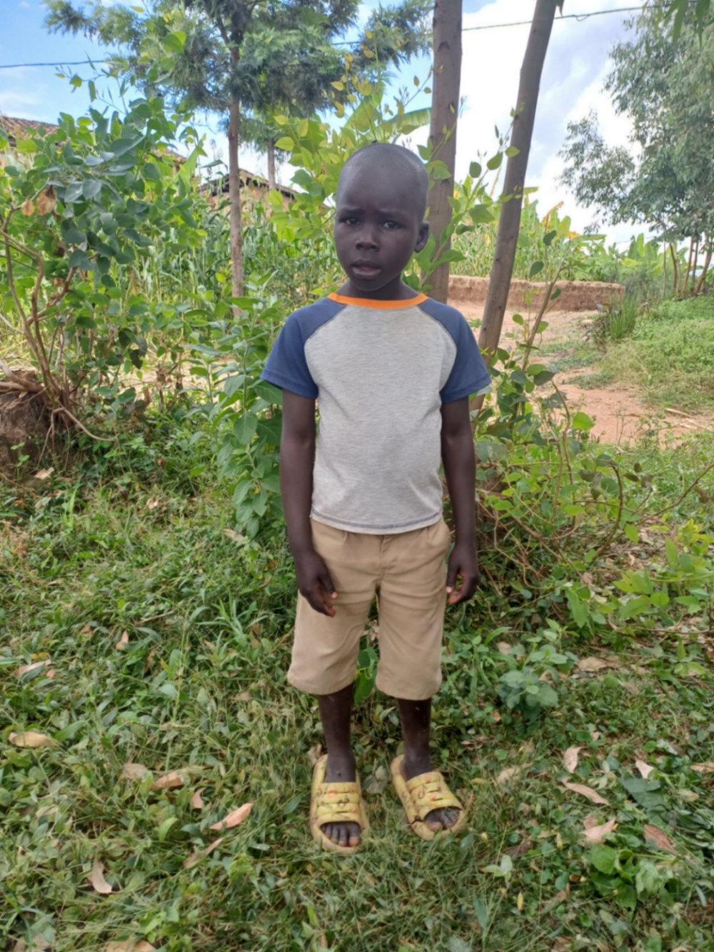 은두와문구 벤자민