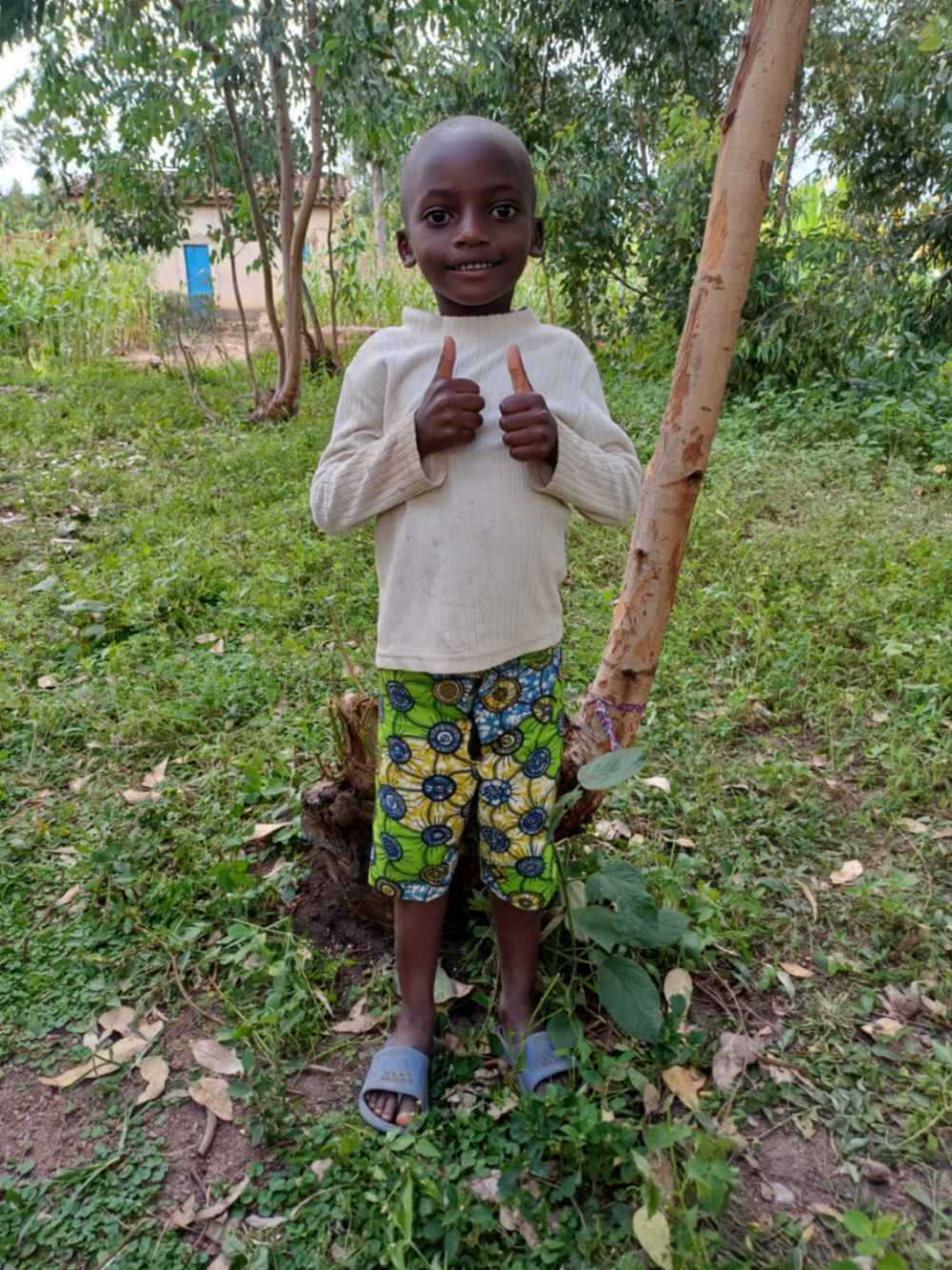 다니엘 크위제라