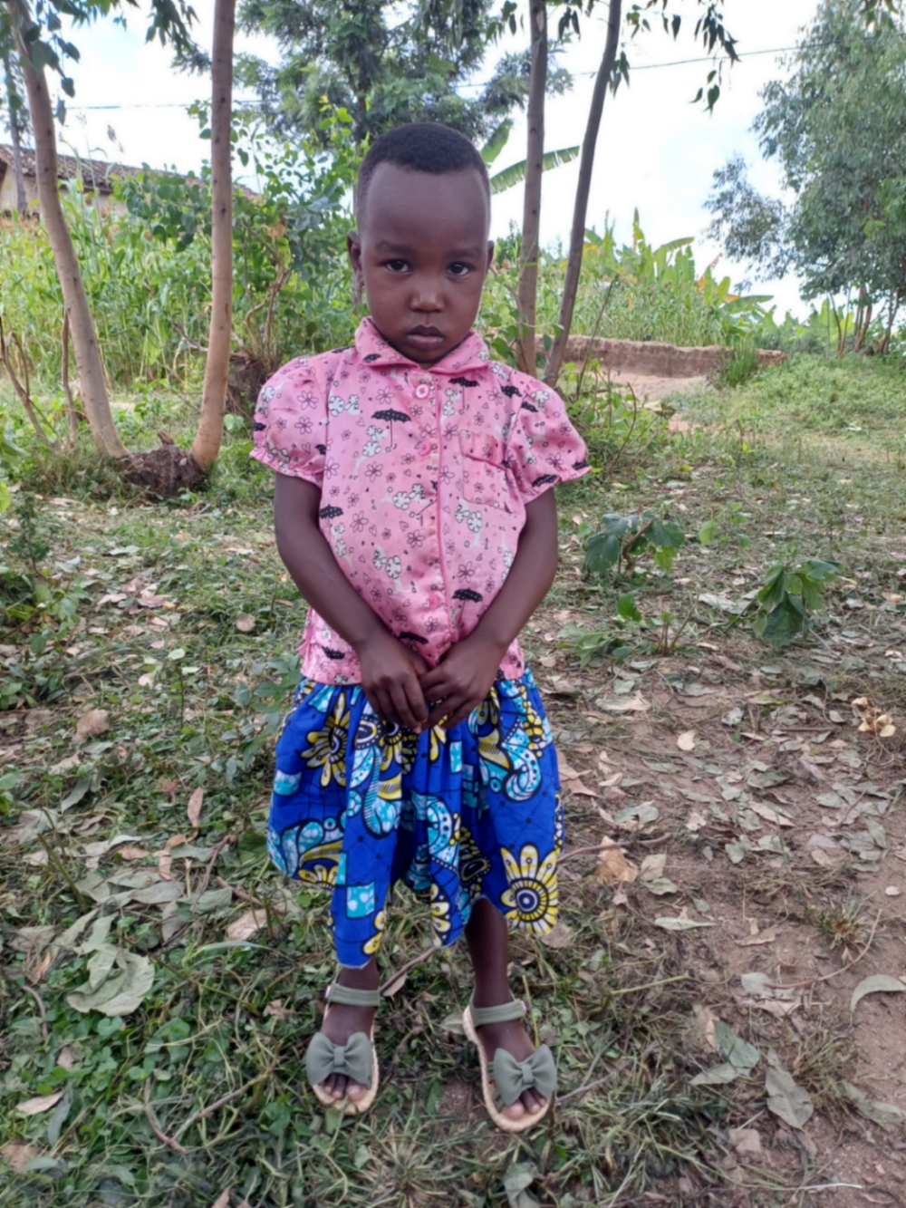 우무라고와 엘빈