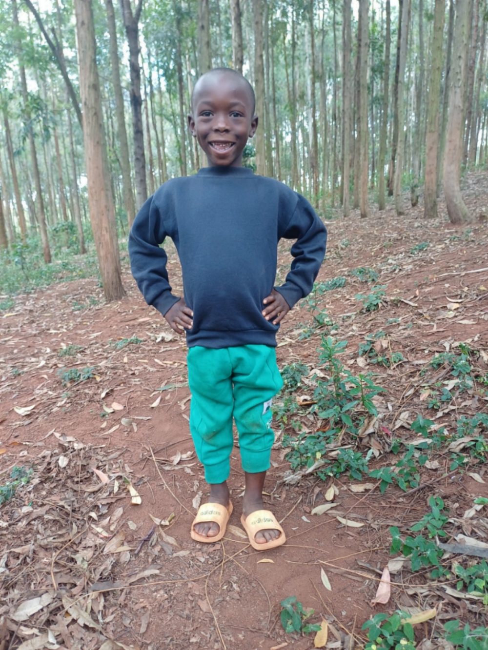 아니발 마난센가