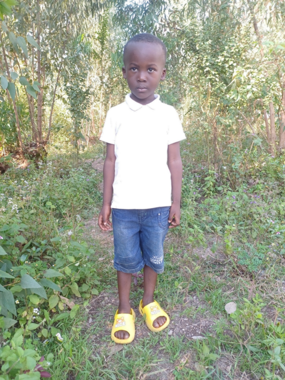 엘리사 시미르와