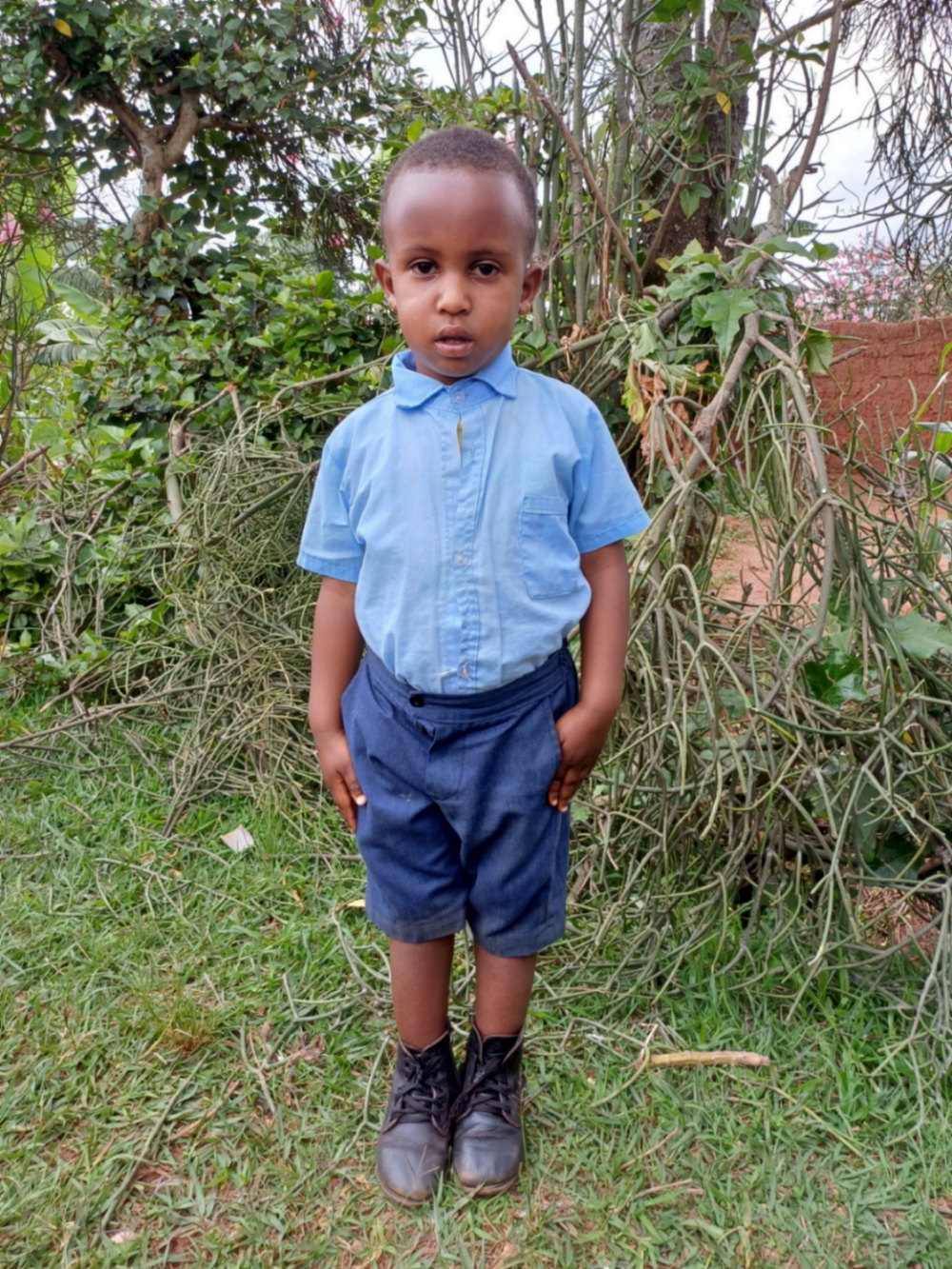 니요크위제라 올리비에