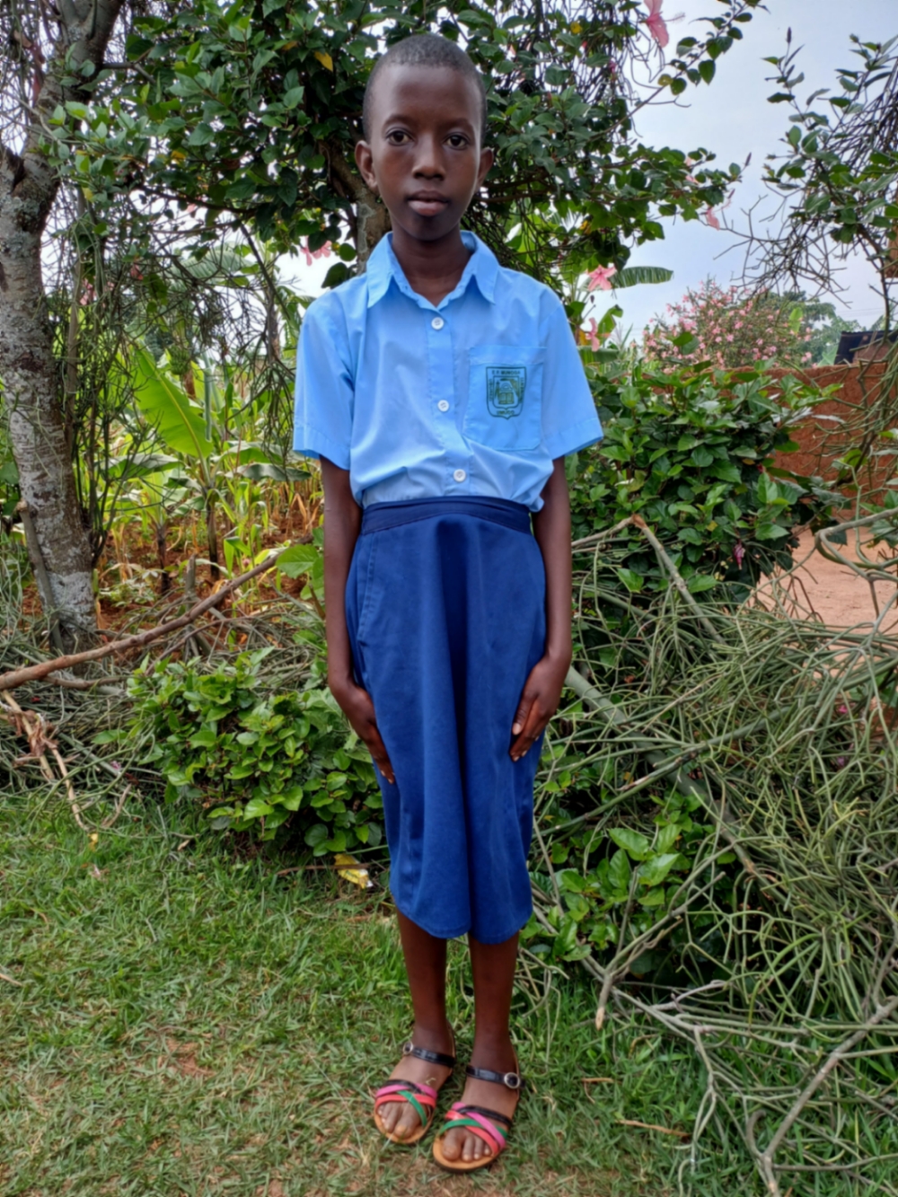 투이시메 디바인