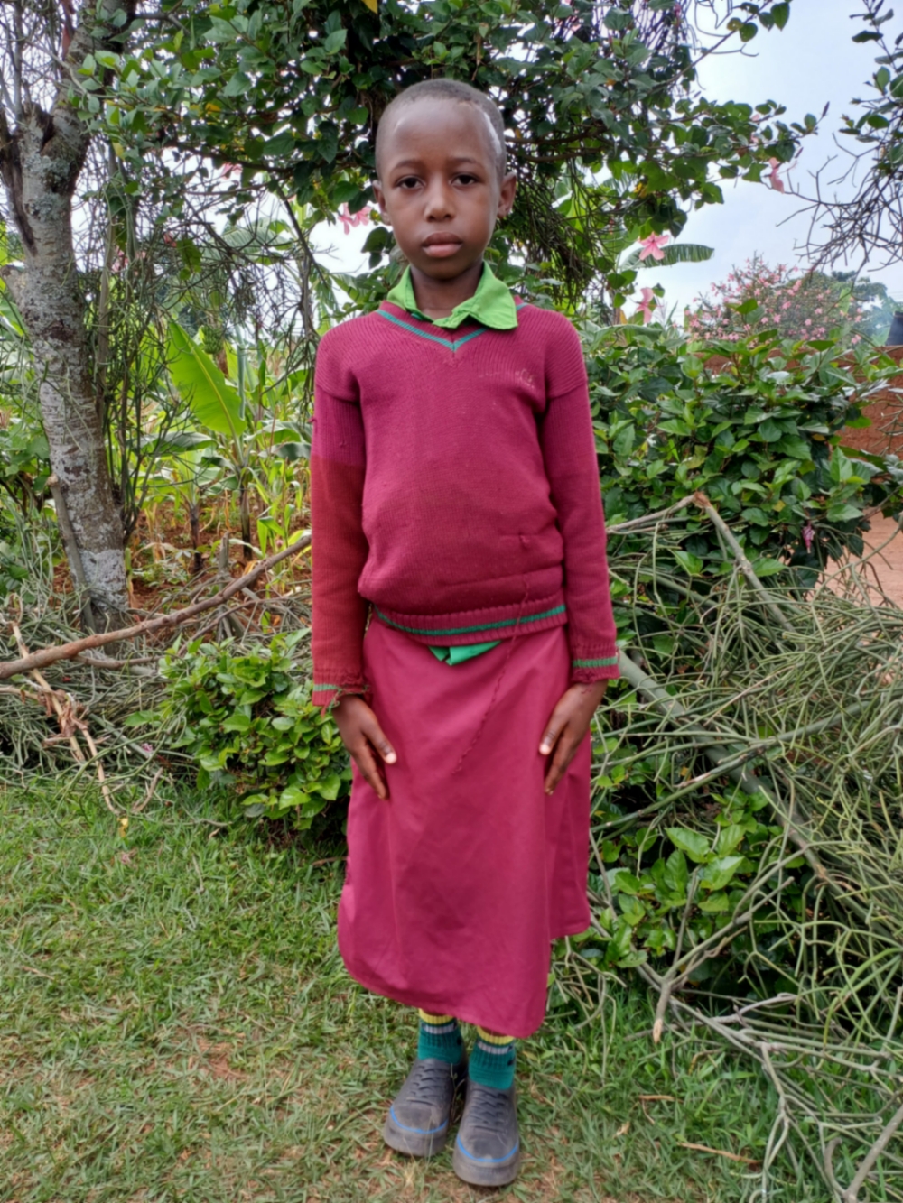 니요기수비조 에르네스틴