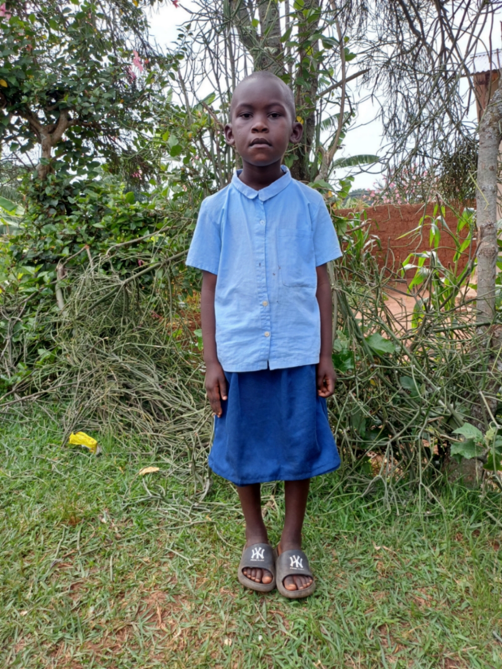 아키마나 조지안