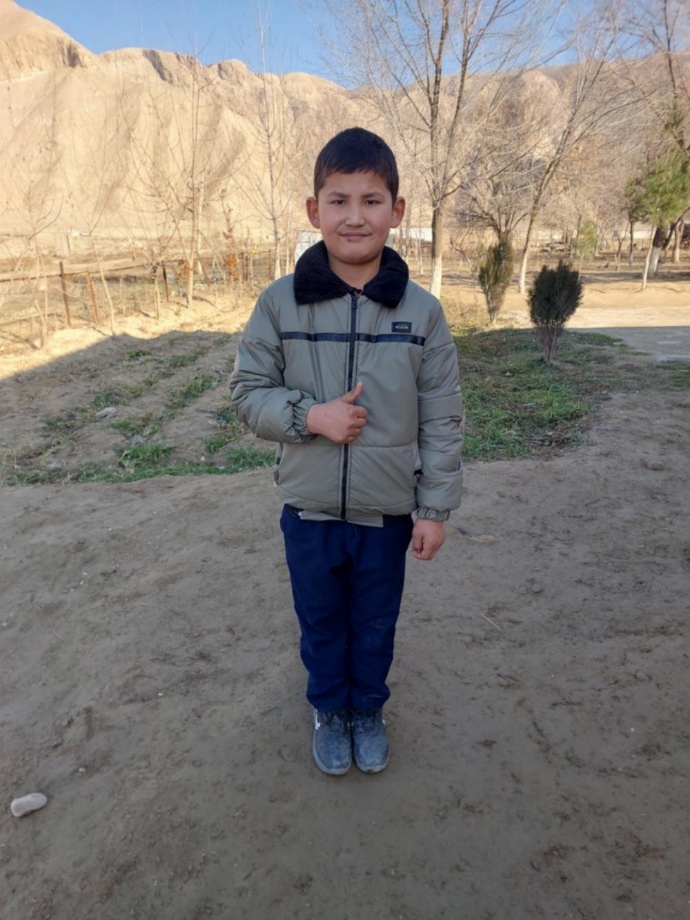 사르도르벡 판지조다