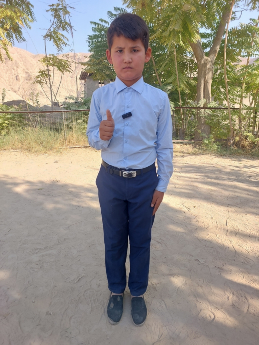 사르도르벡 판지조다