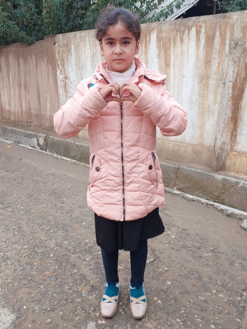 아니사 바로토바