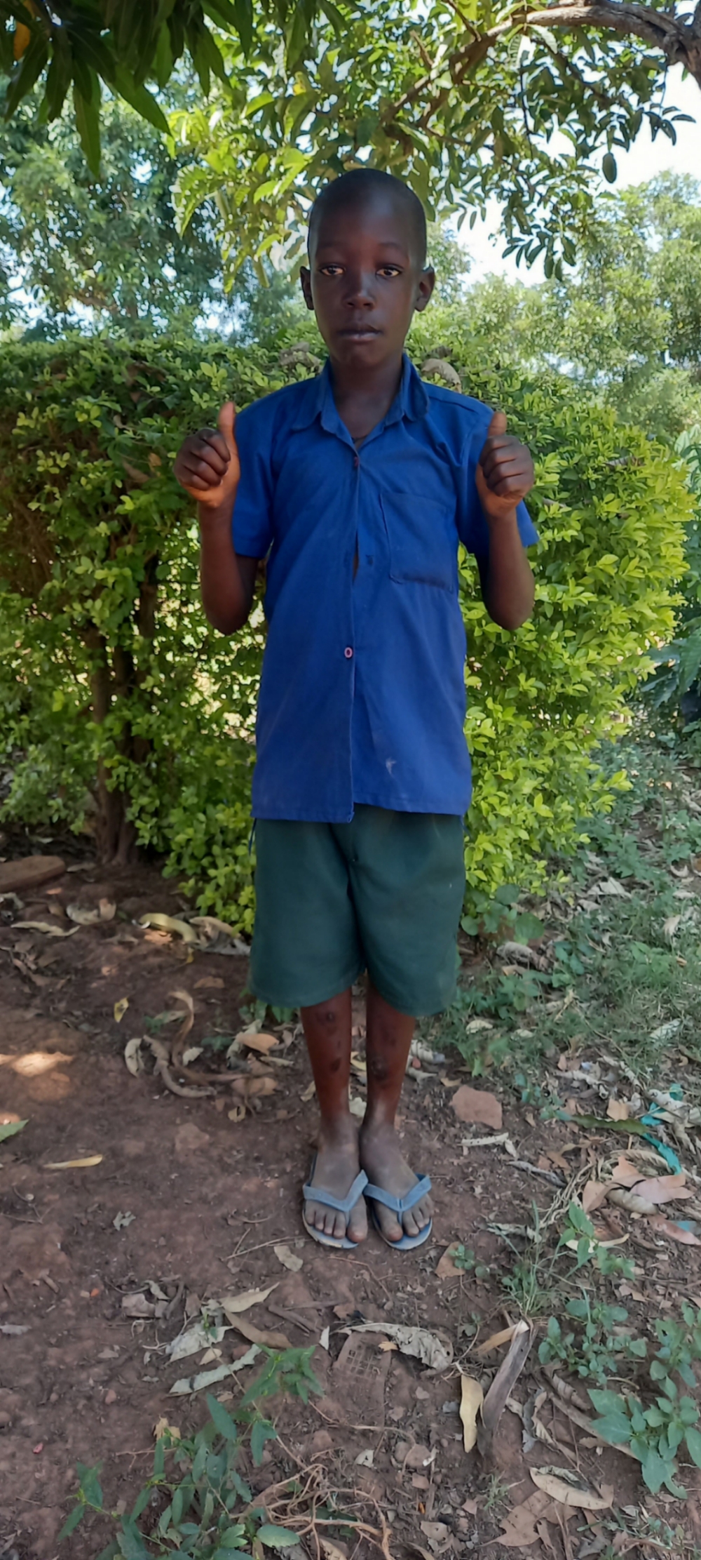 브라이언 오피오